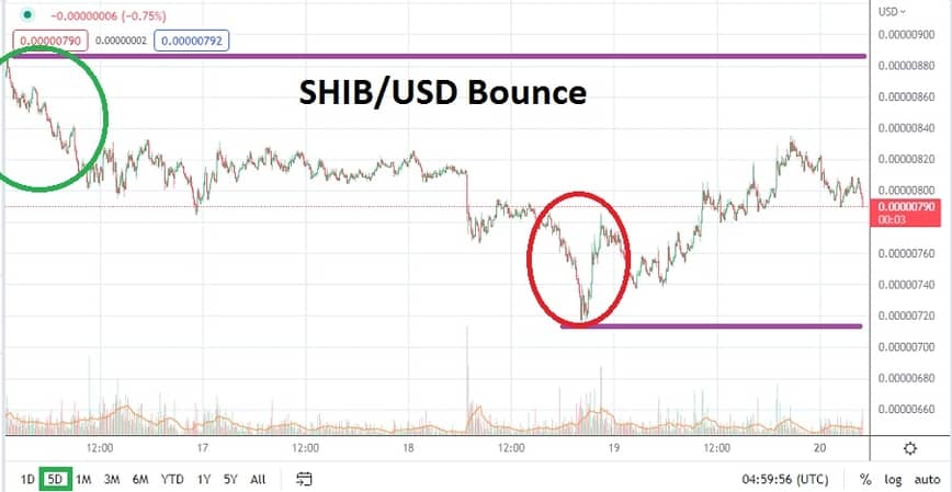 SHIB/USD
